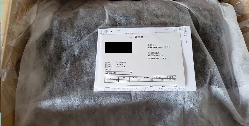 キレイナ 到着画像2
