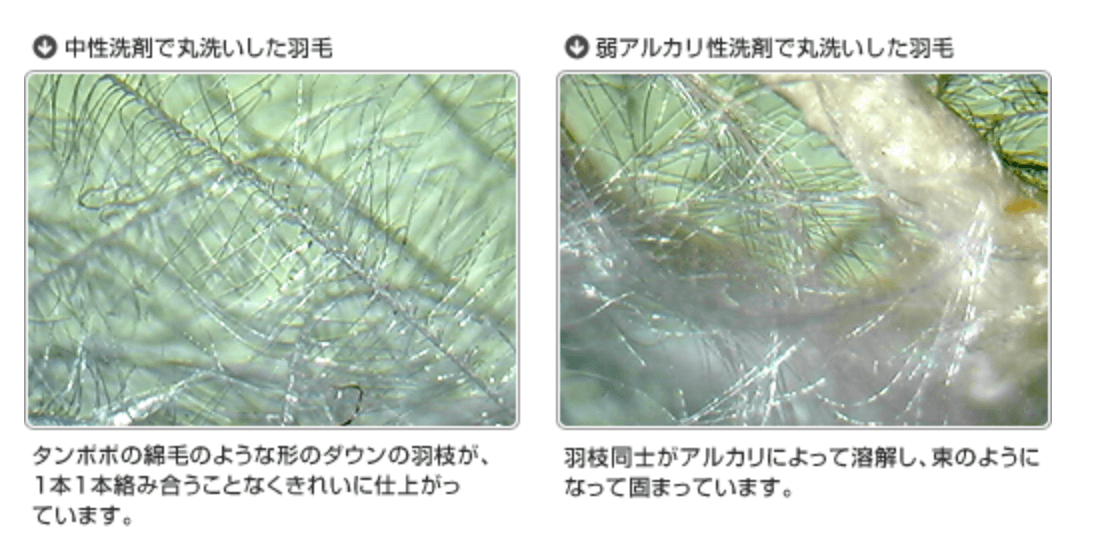 フレスコ中性洗剤