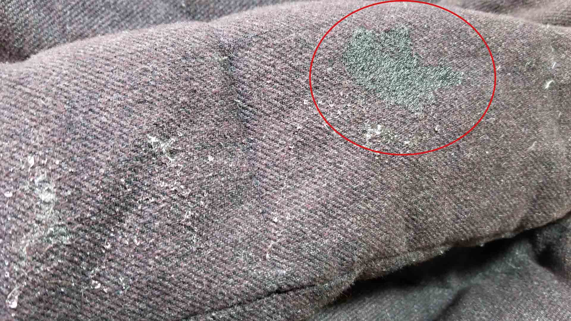 ダウン 撥水加工前