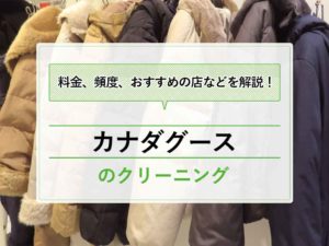 カナダグース アイキャッチ