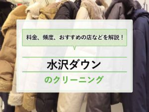 水沢ダウン アイキャッチ